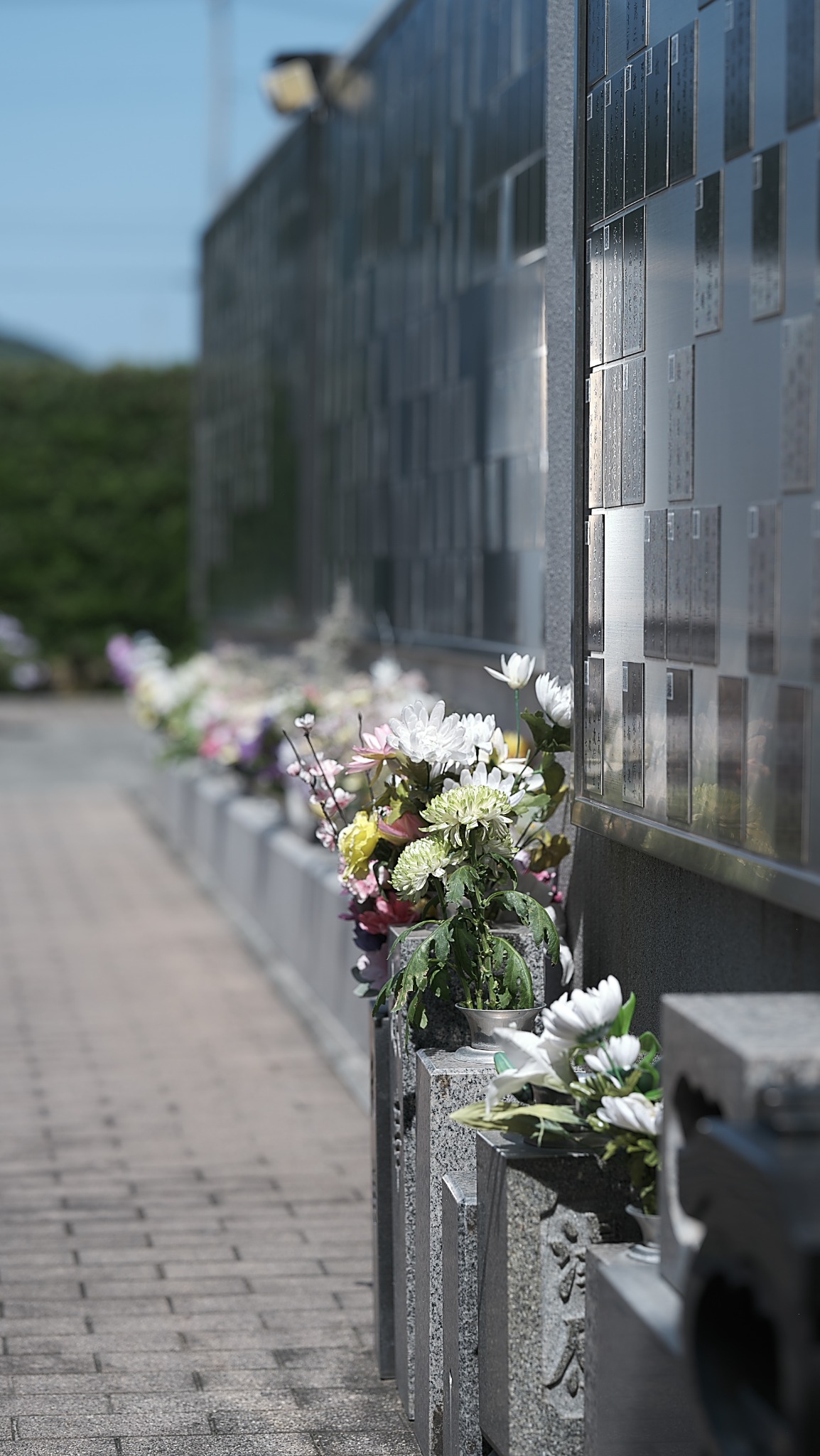 墓誌の前に供えられた花と通路